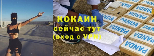 прущие грибы Волосово