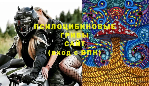 прущие грибы Волосово