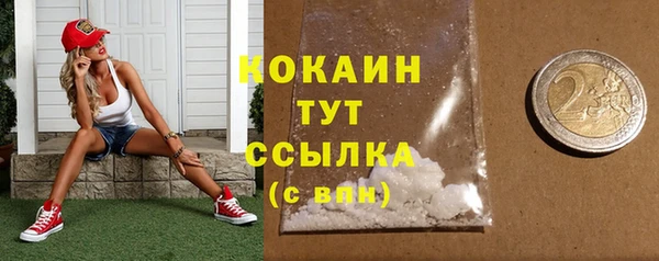 прущие грибы Волосово