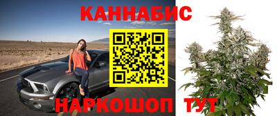 ГАЛЛЮЦИНОГЕННЫЕ ГРИБЫ Заволжье