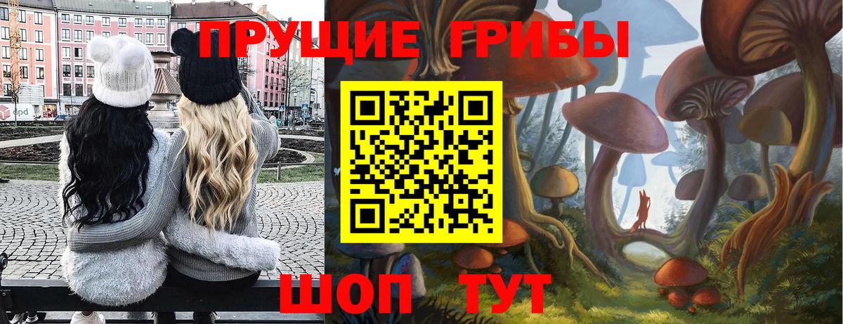 Мариинск  Галлюциногенные грибы мухоморы  купить наркоту  Галлюциногенные грибы Psilocybe  Вход с VPN 
